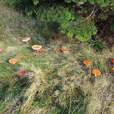 Nyaraló 10 Person In Vaeggerlose *